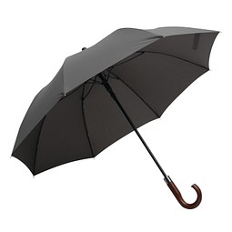 Automatik-Golfschirm EARL,grau