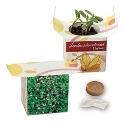 Blumenampel, Persischer Klee, 1-seit. Druck