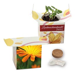 Blumenampel, Ringelblume, 1-seit. Druck