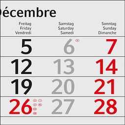 Geiger-Notes Monatskalender Budget 4 green+blue, inkl. Druck, rot