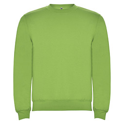 Clasica Sweatshirt mit Rundhalsausschnitt Unisex, Oasis Green, S