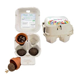 Das Grüne vom Ei, Green-Mix Box, Eierbaumsamen, 1-seit. Druck