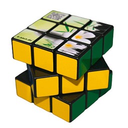 Zauberwürfel 3 x 3, 57 mm Classic mit Sticker Druck auf einer Seite
