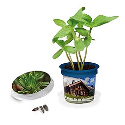 Florero-Töpfchen mit Samen, blau, Fichte, 1-seit. Druck