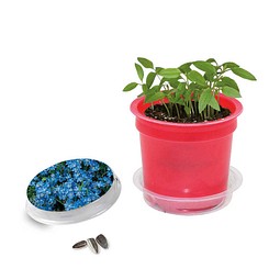 Florero-Töpfchen mit Samen, rot, Vergissmeinnicht, 1-seit. Druck
