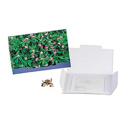 Flower-Card mit Samen, Persischer Klee, 1-seit. Druck