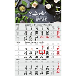 Geiger-Notes Monatskalender Budget 3 Bestseller, inkl. Druck, blau