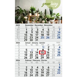 Geiger-Notes Monatskalender Budget 3 green+blue, inkl. Druck, blau