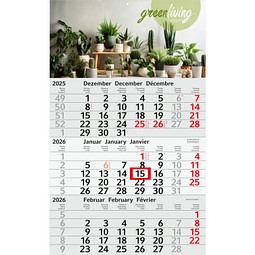 Geiger-Notes Monatskalender Budget 3 green+blue, inkl. Druck, rot