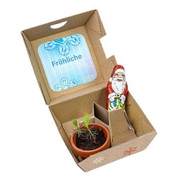 Geschenk-Set Xmas, V1, 1-seit. Druck