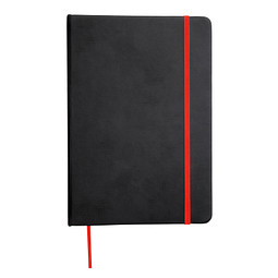 Notizbuch LECTOR im DIN-A5-Format,rot, schwarz