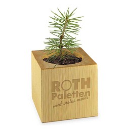 Pflanz-Holz, Standardmotiv, Frohe Weihnachten, 2 Seiten gelasert, Gravur