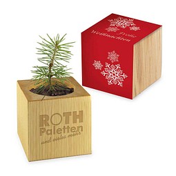 Pflanz-Holz, Standardmotiv, Frohe Weihnachten, 1-seit. Laser