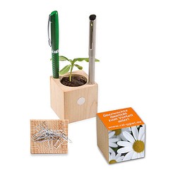 Pflanz-Holz Büro mit Samen, Margerite, 1-seit. Druck
