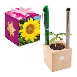 Pflanz-Holz Büro Star-Box mit Samen, Sonnenblume, 1-seit. Druck
