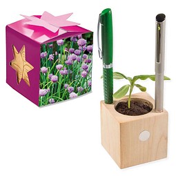 Pflanz-Holz Büro Star-Box mit Samen, Schnittlauch, 1-seit. Druck