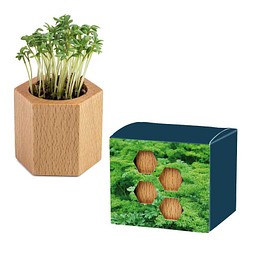 Pflanz-Holz Hexagon mit Samen, Petersilie, 1-seit. Druck