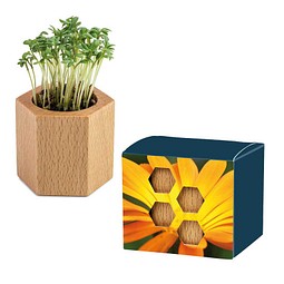Pflanz-Holz Hexagon mit Samen, Ringelblume, 1-seit. Druck