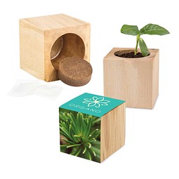 Pflanz-Holz Maxi mit Samen, Fichte, 1-seit. Druck
