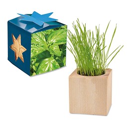 Pflanz-Holz Maxi Star-Box mit Samen, Basilikum, 1-seit. Druck