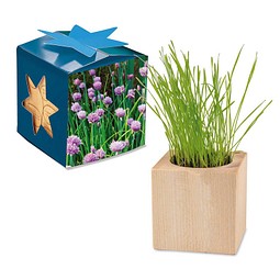Pflanz-Holz Maxi Star-Box mit Samen, Schnittlauch, 1-seit. Druck