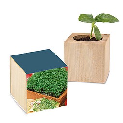 Pflanz-Holz mit Samen, Gartenkresse, 1-seit. Druck