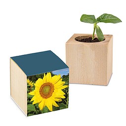 Pflanz-Holz mit Samen, Ostern, Sonnenblume, 1-seit. Druck