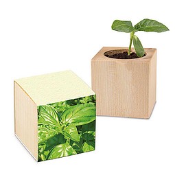 Pflanz-Holz mit Samen (Graspapier-Banderole), Basilikum, 1-seit. Druck