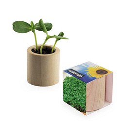 Pflanz-Holz rund mit Samen, Gartenkresse, 1-seit. Druck