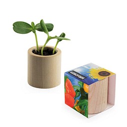 Pflanz-Holz rund mit Samen, Gewürzpaprika, 1-seit. Druck