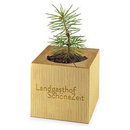 Pflanz-Holz Xmas mit Fichtensamen, Fichte, 1-seit. Druck