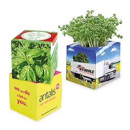 Pflanz-Würfel 2.0 mit Samen, Weihnachten, Basilikum, 1-seit. Druck