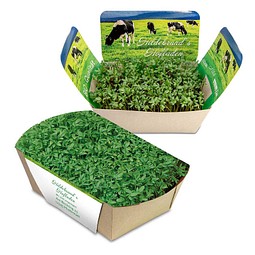 Pflanzodrom mit Samen, Gartenkresse, 1-seit. Druck