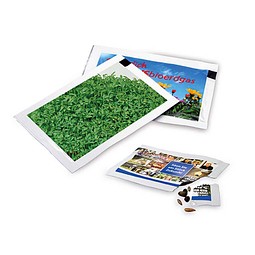 Samen-Briefchen, Gartenkresse, 2-seit. Druck