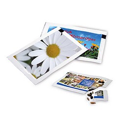 Samen-Briefchen, Margerite, 2-seit. Druck