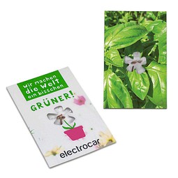 Samen-Karte-Mini Blume, Basilikum, 2-seit. Druck
