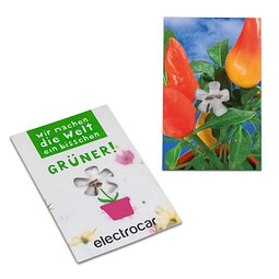 Samen-Karte-Mini Blume, Ostern, Gewürzpaprika, 2-seit. Druck