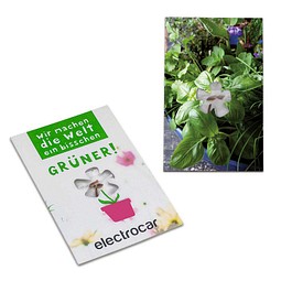 Samen-Karte-Mini Blume, Ostern, Kräutermischung, 2-seit. Druck