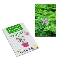 Samen-Karte-Mini Blume, Ostern, Petersilie, 2-seit. Druck