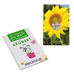 Samen-Karte-Mini Blume, Ostern, Sonnenblume, 2-seit. Druck