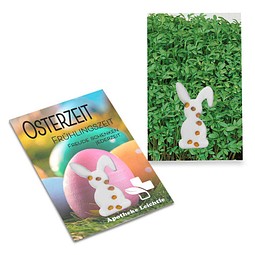 Samen-Karte-Mini Ostern, Gartenkresse, 2-seit. Druck