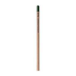 Sprout | Bleistift Gemeine Fichte, inkl. Standardkarton mit Planzanleitung auf Rückseite