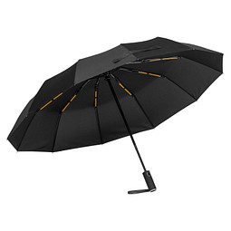 Taschen Sturmschirm Omaha,schwarz