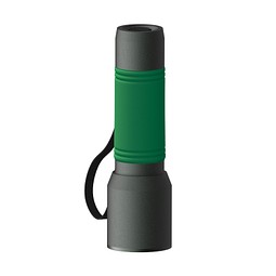Taschenlampe REEVES-myFLASH 300, anthrazit/grün