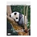 Bild-Wandkalender Tierkinder 2027