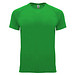 Green Fern