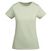 Mist Green