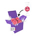 Color Lindor Box - Lila - Erdbeer-Sahne