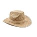 Cowboy-Hut Stroh TEXAS, Beige