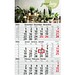Geiger-Notes Monatskalender Budget 3 green+blue, inkl. Druck, rot